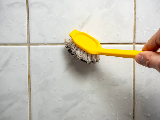 Water Damage Restoration in Hanna City, IL