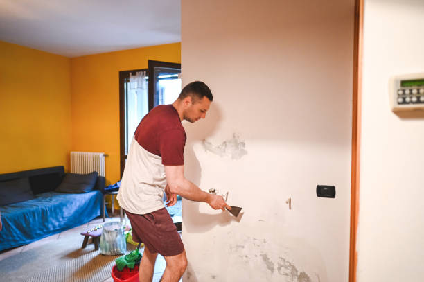 Attic Mold Removal in Hanna City, IL